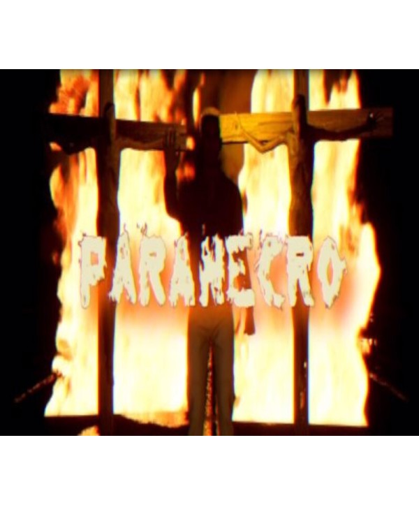 PARANECRO Steam Key GLOBAL